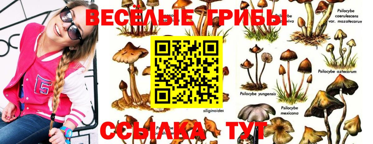 Псилоцибиновые грибы Magic Shrooms  Вход с VPN  наркота  Куйбышев 