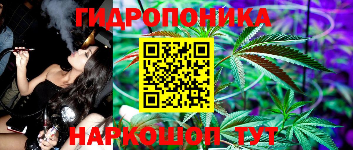 Бошки Шишки гибрид Куйбышев